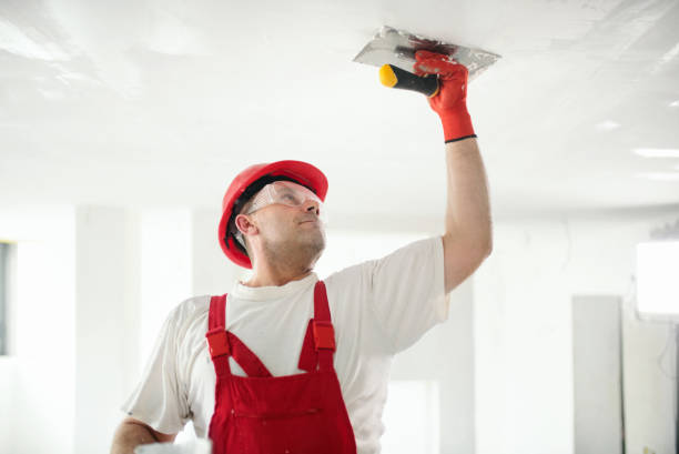 Best Mold Odor Removal Services  in Walkertown, NC