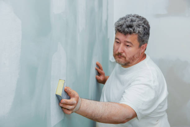 Best HVAC Mold Inspection and Cleaning  in Walkertown, NC